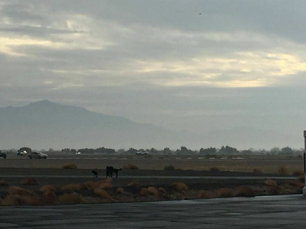 Rob Silva took this cellphone photo of vehicles on track in an aborted effort to dry the pavement at Chuckwalla this morning.